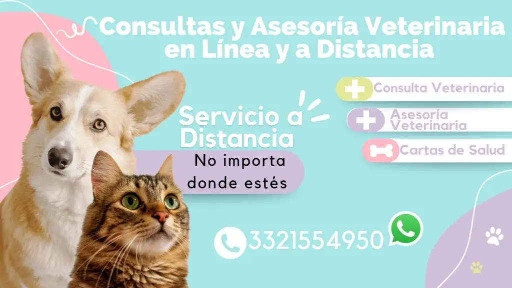 471820342_524018784010033_7573157120535196234_n