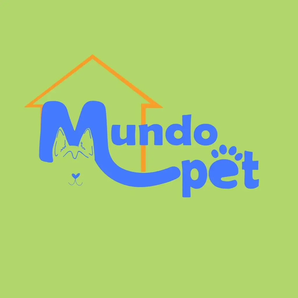 474035976_1001359988682575_4596155307887562135_n (1)