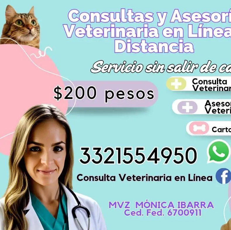 522726382_677663291978914_8454514811628859550_n