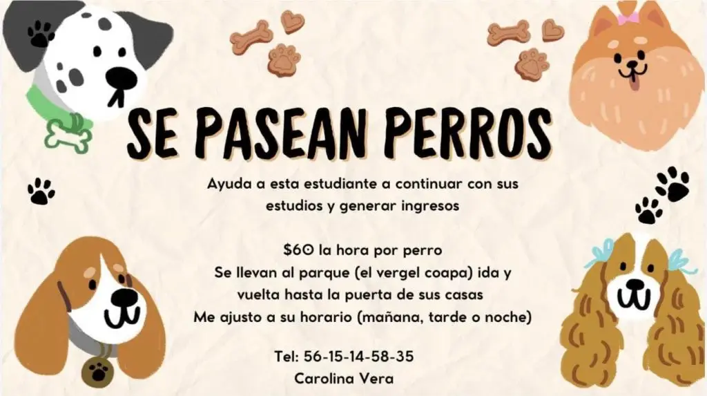 Imagen-de-WhatsApp-2025-11-11-a-las-22.15.40_5d4b222d